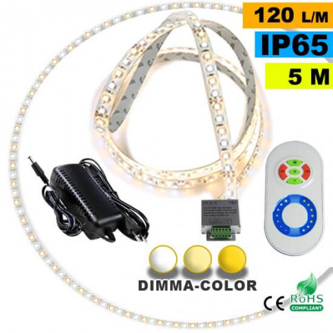  Dimma Color 3528 ip65 120 led customised strip pack