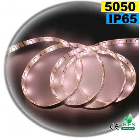 Strip LED blanc chaud SMD 5050 IP65 30 LED par mètre rouleau de 5 mètres