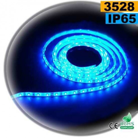 Strip Led blue SMD 3528 IP65 60leds/m 5m
