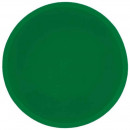 Filtre silicone couleur vert