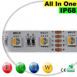 Strip LEDs RGB-WW IP68 - LED "All in one" 5 mètres