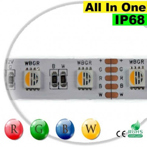  Strip LEDs RGB-WW IP68 - LED "All in one" 5 mètres 