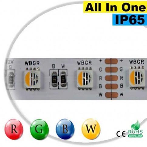  Strip LEDs RGB-WW IP65 - LED "All in one" 30 metres
