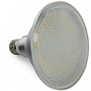 Spotlight Bulb led PAR 38 60 LEDs E27