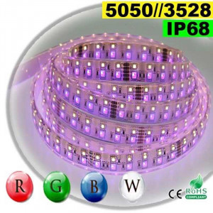 Strip LEDs RGB-W IP68 - Double assemblage de LEDs 5050 et 3528 5 mètres