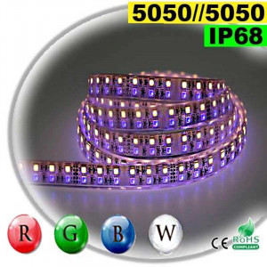 Strip LEDs large RGB-W de 20mm IP68 - Double assemblage de LEDs 5050 5 mètres