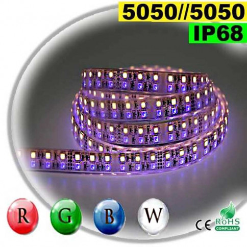 Strip LED large RGB-W de 18mm IP68 - Double assemblage de LED 5050 5 mètres