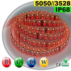 Strip LEDs RGB-WW IP68 - Double assemblage de LEDs 5050 et 3528 5 mètres