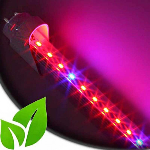  Tube LED Horticole SMD 3528 Longueur 900mm 