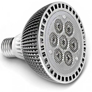 PAR30 Efficiency-LED® 7 high power 1 watt LED bulb