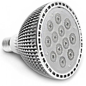 PAR38 Efficiency-LED® 12 high power 1 watt LED bulb