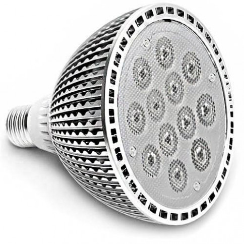 Ampoule PAR38 Efficiency-LED® 12 LED high power de 1 watts