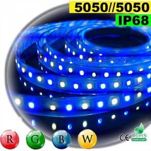 Strip Led RGB-WW IP68 60leds/m SMD 5050 5m 