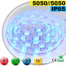  Strip Led RGB-WW IP65 60leds/m SMD 5050 sur mesure 