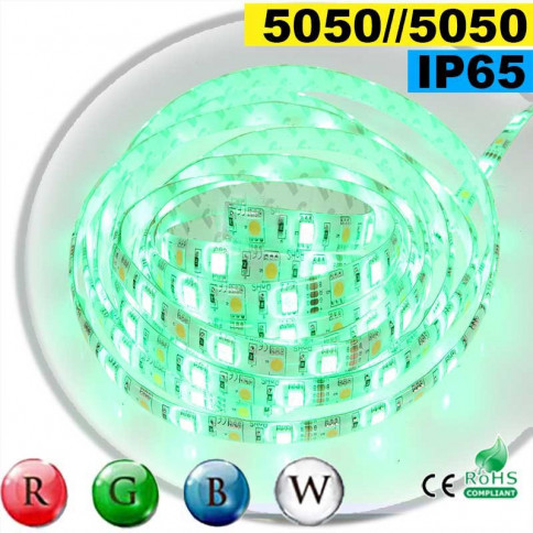 Strip LED RGB-W IP65 60 LED/m SMD 5050 sur mesure