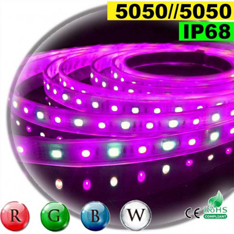 Strip Led RGB-W IP68 60leds/m SMD 5050 5m 