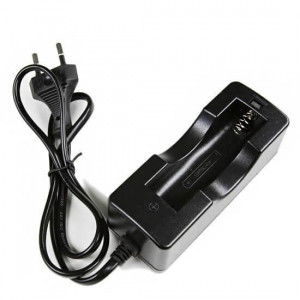 Torch battery charger