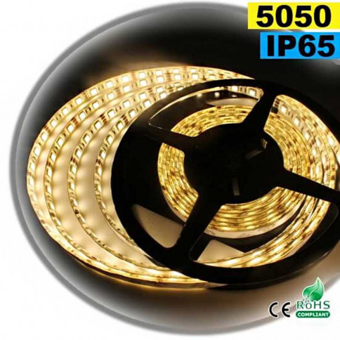  Strip Led warm white SMD 5050 IP65 60leds/m 10m
