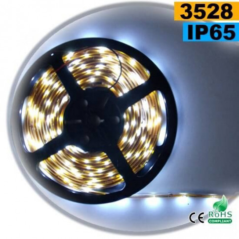 Strip Led white SMD 3528 IP65 60LED/m
