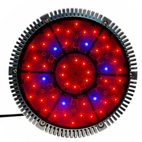  Projecteur horticole Vireo LED 144 watts 
