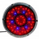  Vireo LED 144 watt horticultural spotlight