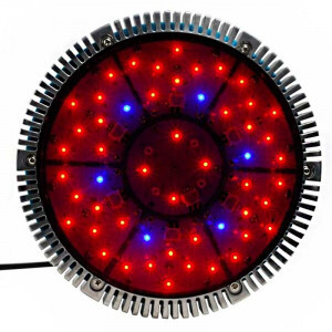 Projecteur horticole Vireo LED 144 watts