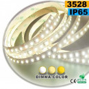 Strip LED dimma-color 3528 ip65 120LED/m 5m
