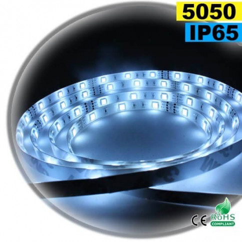 Strip LED blanc SMD 5050 IP65 30leds/m sur mesure