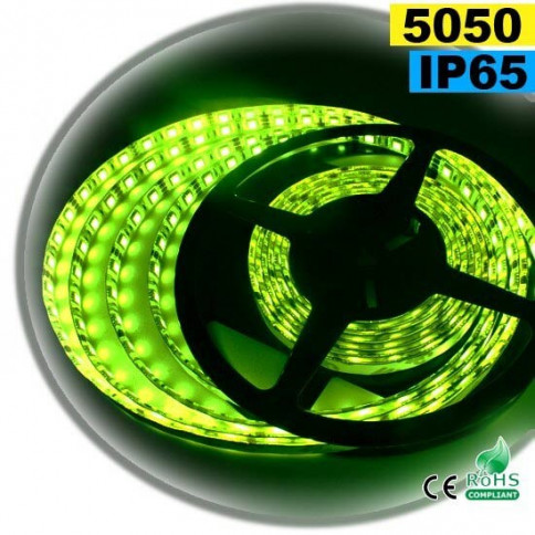 Strip LED vert SMD 5050 IP65 60LED/m 5m