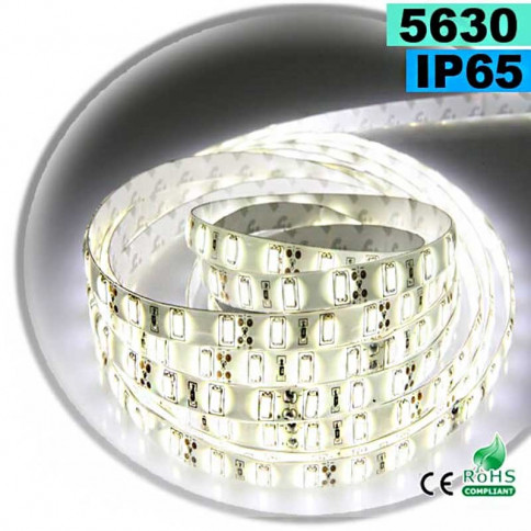Strip LED blanc SMD 5630 IP65 60 led / m 5m