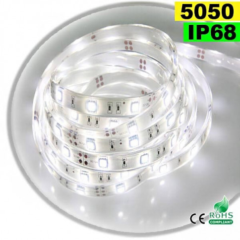  Strip LED blanc SMD 5050 IP68 30LED/m 5m 