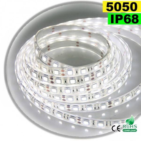  Strip Led blanc SMD 5050 IP68 60LED/m 5 mètres 