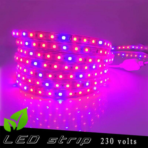 Strip LED Horticole 230 volts - LED rouge et bleue ratio 4 / 2 - vendu au  mètre linéaire