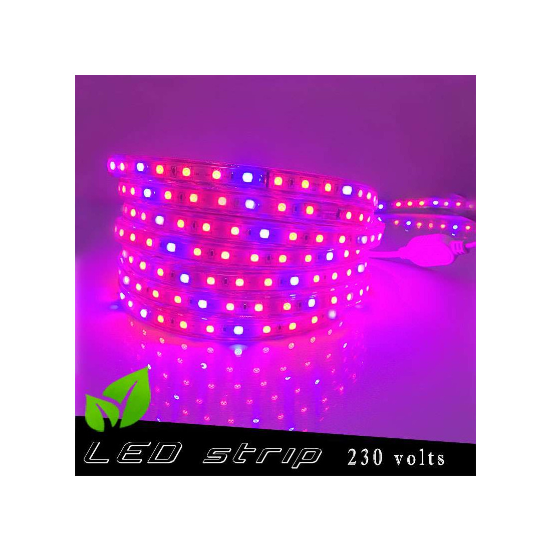 Strip LED Horticole 230 volts - LED rouge et bleue ratio 5 / 1 - vendu au  mètre linéaire