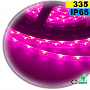 Side LED strip pink LED-335 IP65 120 LED/m 30 metres