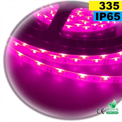 Strip LED latérale couleur rose LED-335 IP65 120 LED/m 30 mètres
