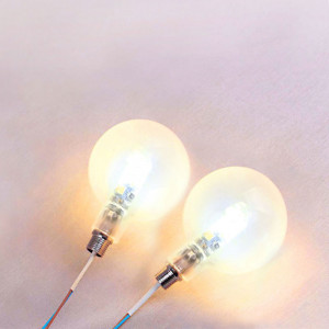 Verrerie globe transparente...