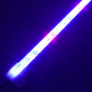 Garden light Linéa-natura LED - blue and red LED ratio 5 / 1