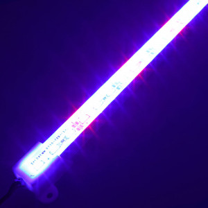 Réglette horticole...