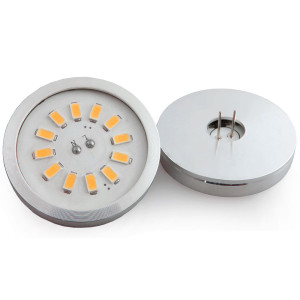 Encapsulated 12 LED Shield...