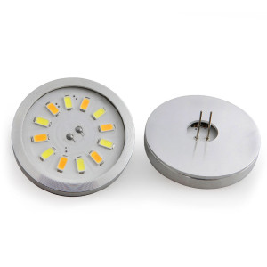 Encapsulated 12 LED Shield...