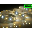 Strip led IP 68 Dimma Color