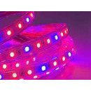 Horticultural LED strip 230 volts and 12 volts