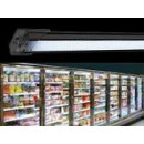 LED cheese dairy lighting - DAIRY series