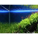 Tube LED aquarium