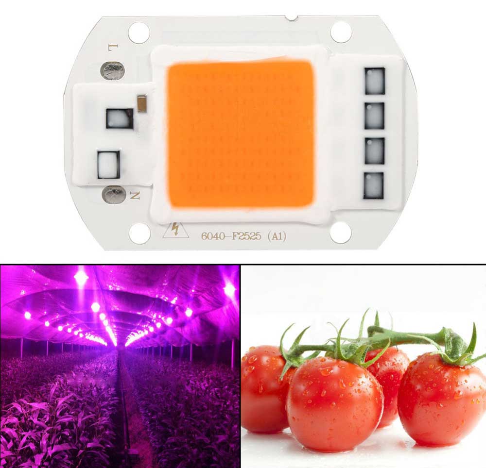 LED horticole full spectre AC LED COB de 20 watts horticole alimentation 230 volts