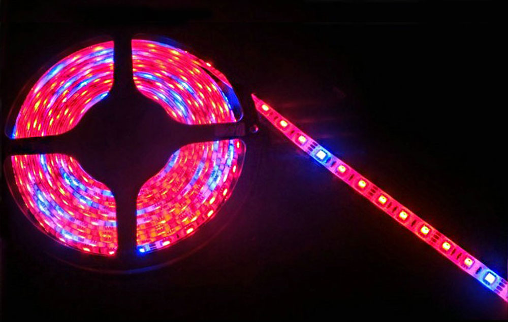 Strips LED horticole 12 volts ratio 7-1 rouge et bleu